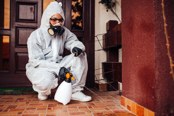 Reliable Wasp Removal contractor in Lavalette, WV by Show Me Pest Control